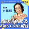 E03貓咪毛色學及EMS CODE解說 E03貓咪毛色學及EMS CODE解說