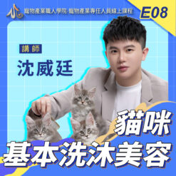 E08貓咪基本洗沐美容