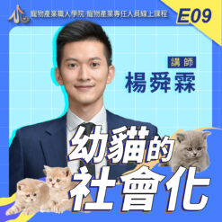 E09幼貓的社會化